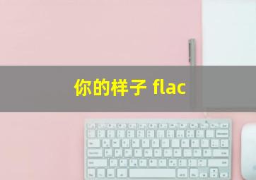 你的样子 flac